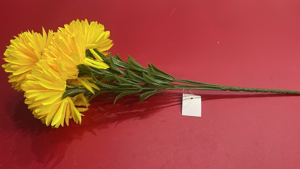 [R2120631] Flower Chrysanthemum 7 Head