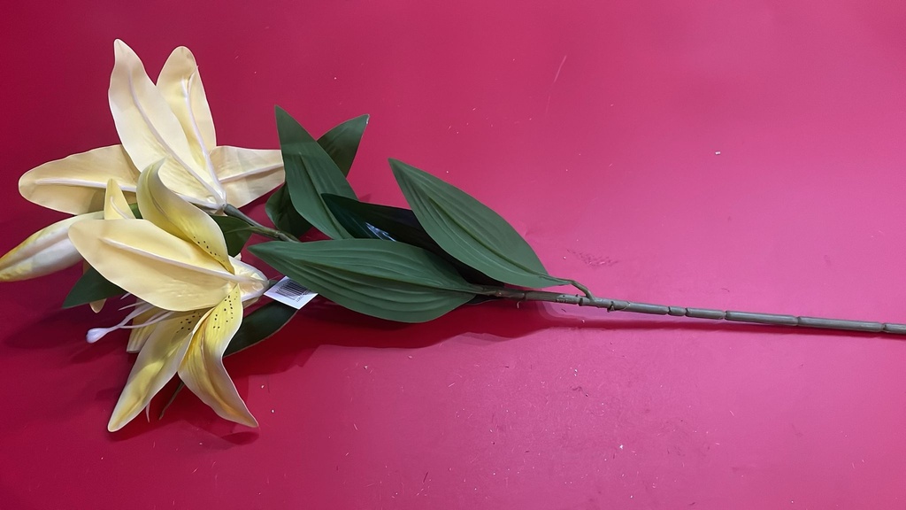 [R2120616] Flower Lily