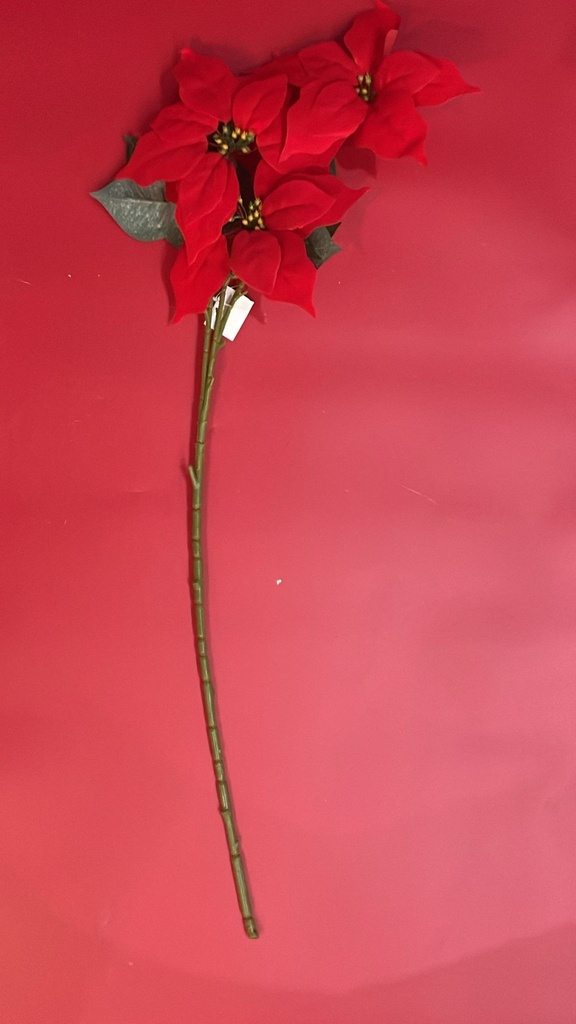 [R2120615] Flower Poinsettia 3 Head