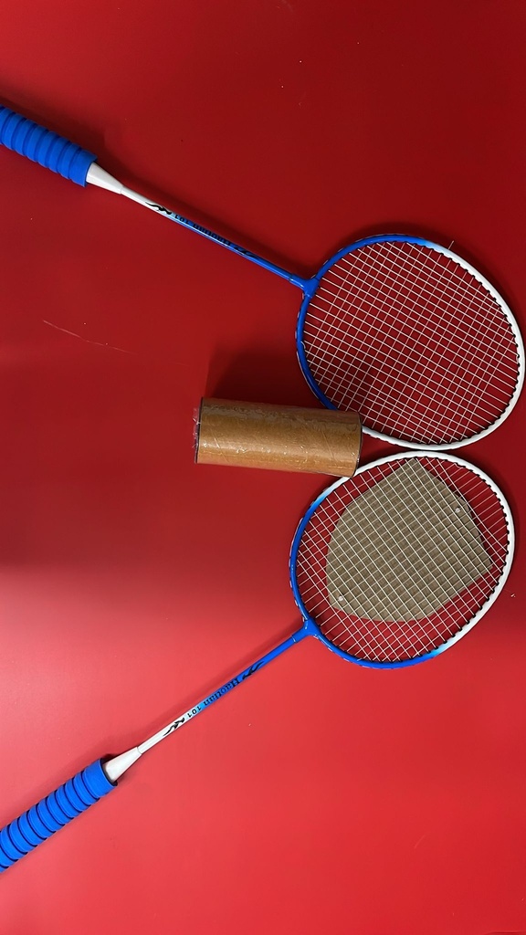 [R2120650] Badminton Set With Shuttle Cocks