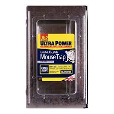 The Big Cheese Multi-Mouse Trap Trap Large ( Stv177 )